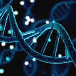 Scientists Decode Entire Human Genome: Why This Matters